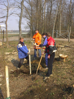 Mller,?,Pinter,Kirmse beim Bume pflanzen